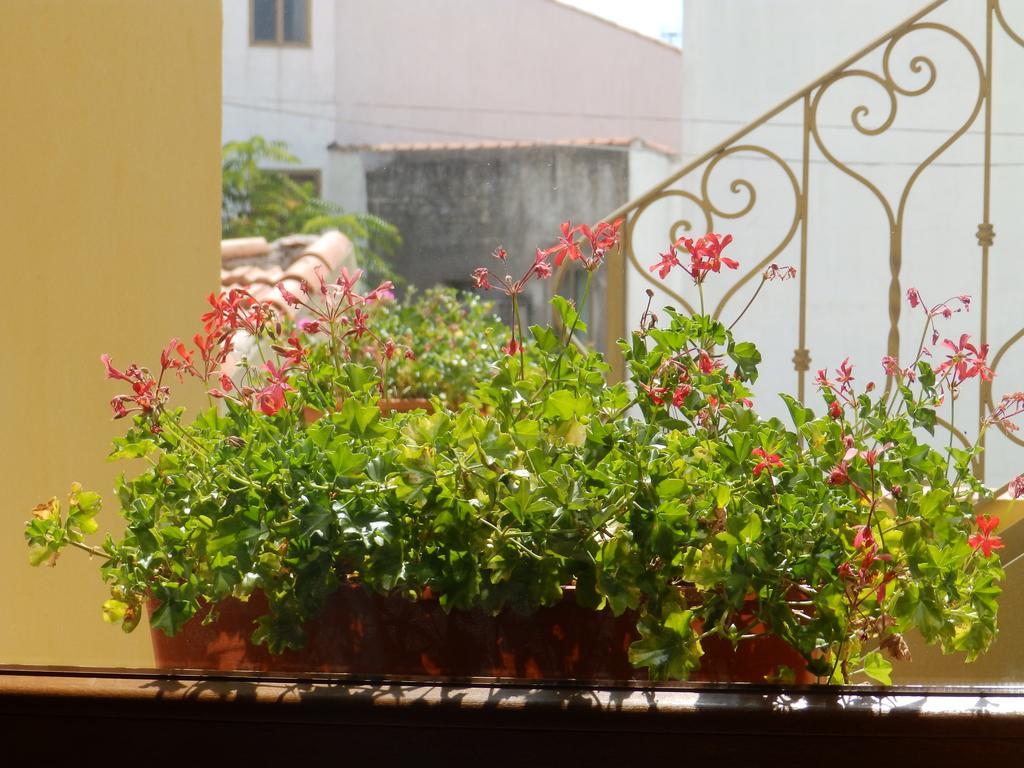Sa Chessa B&B Ploaghe Luaran gambar